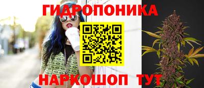эйфоретик Ирбит