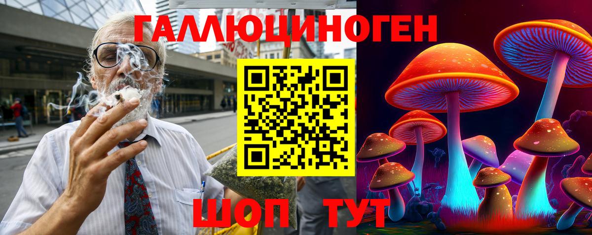 Псилоцибиновые грибы GOLDEN TEACHER Курчатов